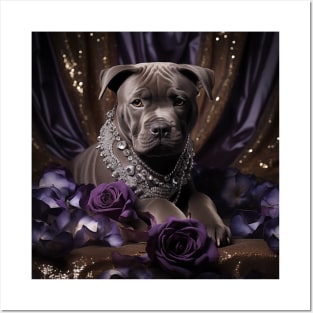 Royal Blue Nose Staffy Posters and Art